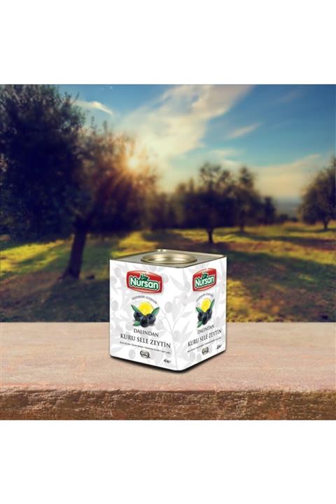 Nursan Gıda Nursan Dalından Kuru Sele 4 Kg