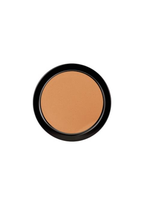 PAESE Pudra - Long Cover Powder 70 8 g 5902627601484