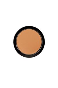 PAESE Pudra - Long Cover Powder 70 8 g 5902627601484