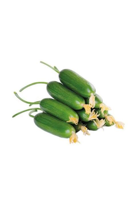 COPCİK MANAV Çengelköy Salatalık