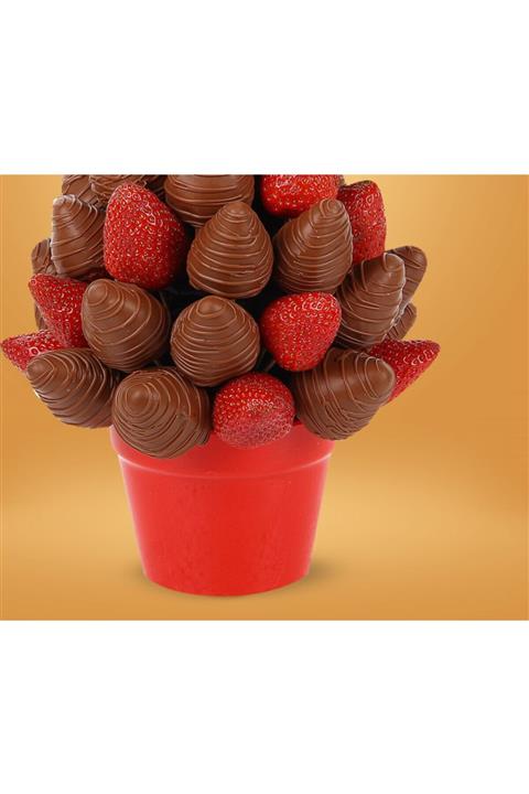 meyvesurprizi Çikolatalı Çileklim