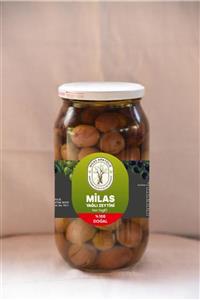 ANATOLİE Milas Yağlı Zeytin 1.000 gr