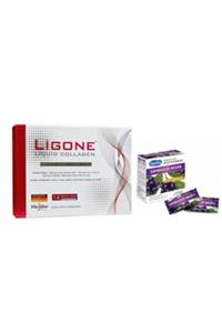 Ligone Collagen Shot 30 Ml&vitallday Sambucus Nıgra C Vitamini Kara Mürver