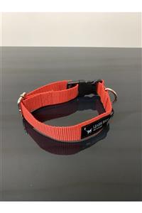 Leash Shop Köpek Boyunlukluk Kırmızı Xl Beden (45-60) Cm