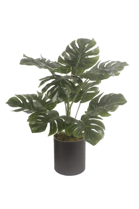 Nettenevime Yapay Çiçek Monstera Deve Tabanı Siyah Saksılı Salon Çiçeği 15 Yaprak