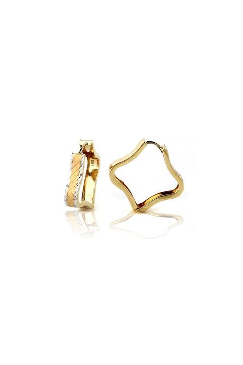 Alyanaklar Yıldız Tasarım Halka Küpe