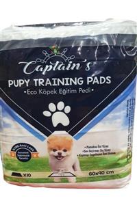 Captain's Eco Köpek Eğitim Pedi