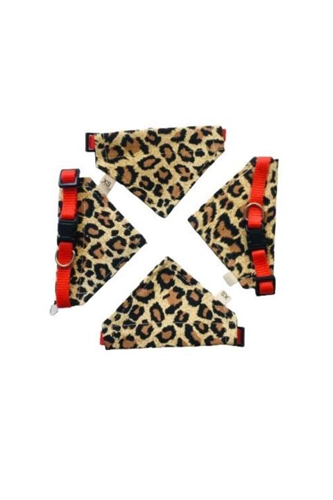 pawin Fularlı Kedi Tasması Leopar Desenli