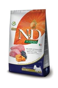 N&D Mini Kuzu Etli Ve Yaban Mersinli - Balkabaklı Tahılsız Yavru Köpek Maması 2,5 kg