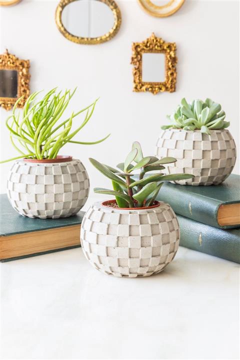 Arma House 3'lü Küp Beton Saksılı Sukulent