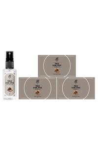 Rebul Dark Spice Kolonya Sprey 50 Ml + Dark Spice Kolonyalı Mendil X 3 Adet