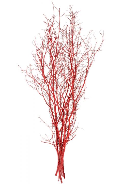 Euro Flora Kuru Bitki Gürgen Dalı Kçk. 100 Cm Kırmızı