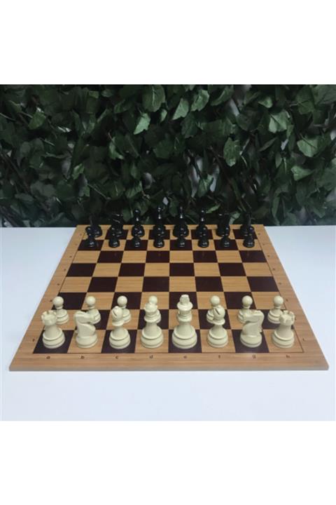 digital game technology Dgt Taşlı Ahşap Satranç Takımı