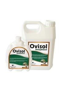 Royal İlaç Ovisol Sheep 1 Lt Koyunlar Için Sıvı Yem Katkısı