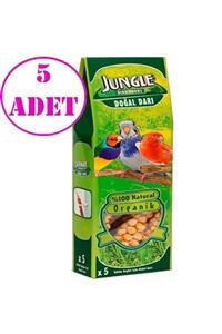 Jungle Doğal Dal Darı 5 Li 5 Ad