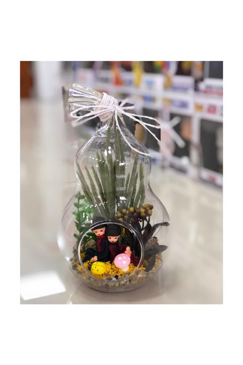 May Gift Shop Teraryum Fanus  Armut