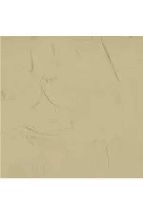 GAMBLIN COLORS Gamblın Restorasyon Boyası 15ml Tıtanıum Buff