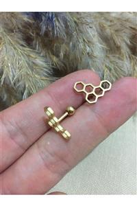 Jaida Moda 316l Cerrahi Çelik Gold Bal Peteği Figürlü Tragus, Kıkırdak, Helix 6mm Piercing