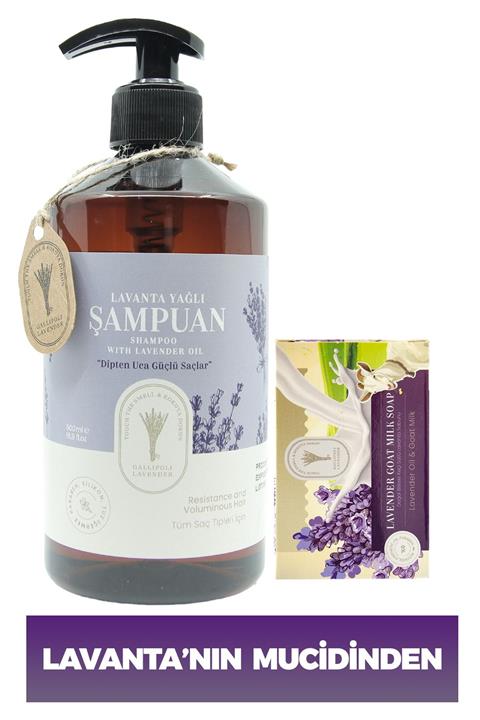 Dr. Lavender Dr. Lavanta Şampuanı Bitkisel Saç Bakım Şampuanı 500 Ml + %100 Bitkisel Keçi Sütlü Cilt Sabunu 100 G