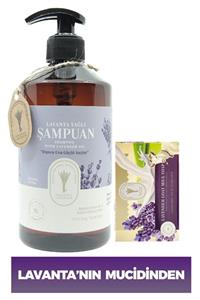 Dr. Lavender Dr. Lavanta Şampuanı Bitkisel Saç Bakım Şampuanı 500 Ml + %100 Bitkisel Keçi Sütlü Cilt Sabunu 100 G