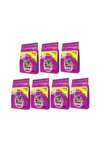 Whiskas Tavuklu Kuru Yavru (2-12 AYLIK) Kedi Maması 300 gram (14 ADET)
