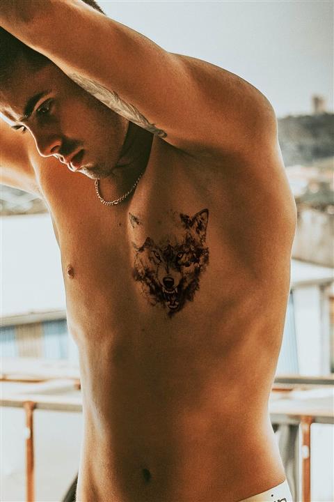 Barly Vahşi Kurt Geçici Dövme