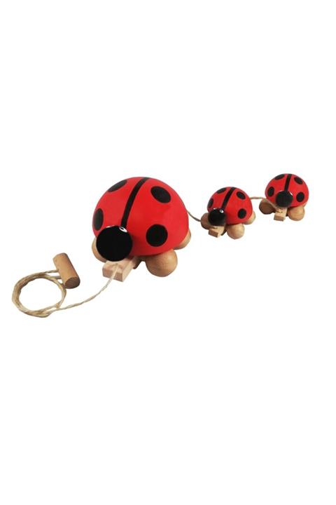 Arda Ahşap Oyuncak Kırmızı Ahşap İpli Çekçek Uğur Böceği Ailesi