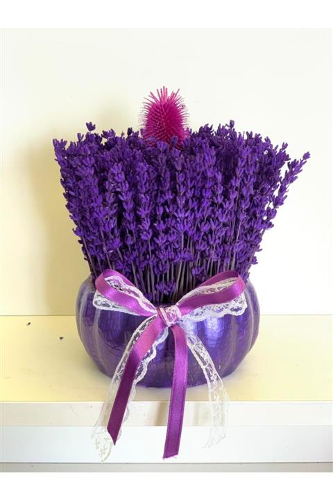 Lavantadan Seramik Saksıda Mor Lavanta