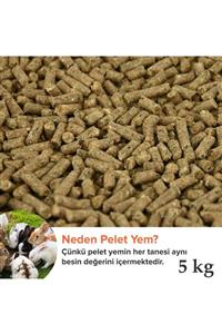 Vixpet Tavşan Ve Guinea Pig Pelet Yemi 5 Kg