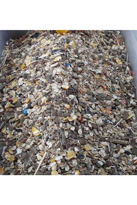 MOYASHOP 1 Kg Hamster Genepik Yemi - Yem