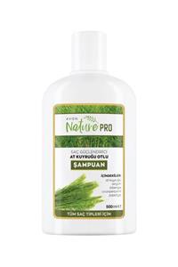 AVON Naturepro At Kuyruğu Otlu Şampuan 500ml