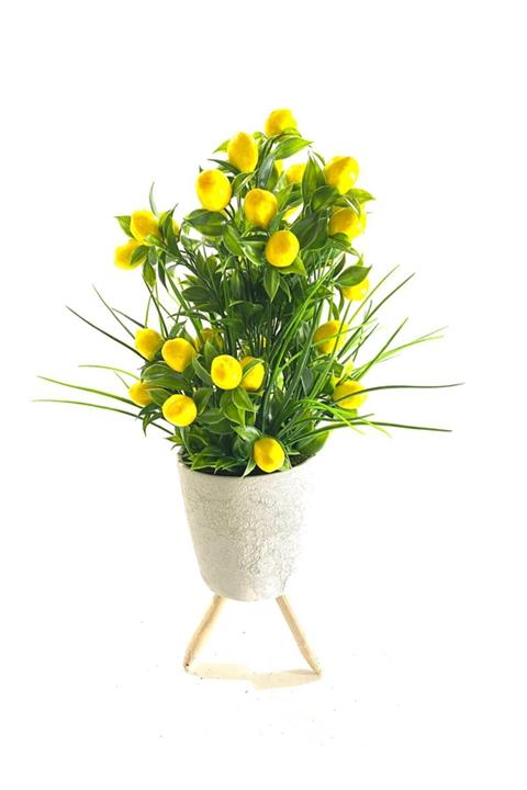 BİRÇOK HEDİYE Ahşap Ayaklı Beton Saksıda Limon Ağacı 50-20cm