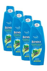 Blendax Arındırıcı Bakım Bitki Özlü Şampuan 500 Ml X 4 Adet