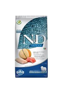 N&D Ocean Somon Ve Morina Balıklı Kavunlu Giant Maxi Yetişkin Köpek Maması 12 Kg