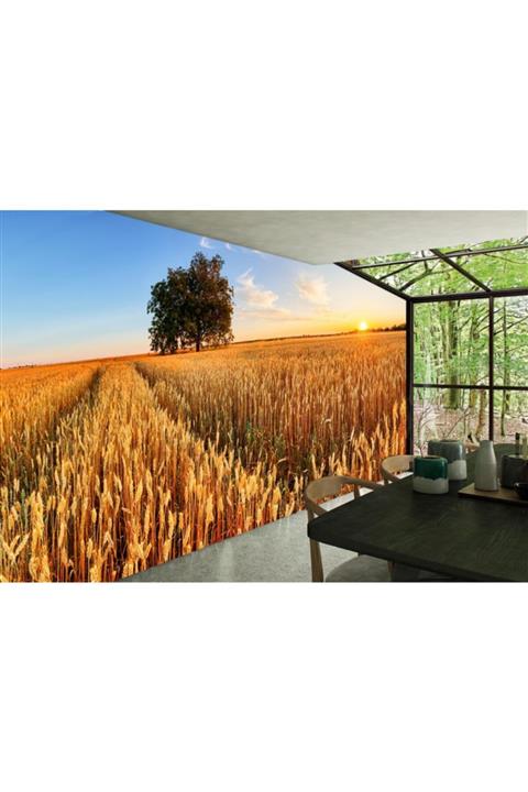 Renkli Duvarlar Buğday Tarlası Gün Batımı Cafe Duvar Kağıdı 4.00x2.30