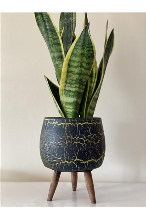 Topsan Ahşap Ayaklı Çatlak Desenli Tombul Yeşil Saksı 18cm