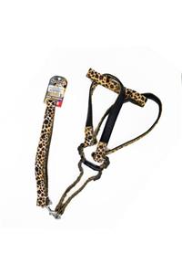 HİLALSHOP Eurodog Köp.uztm+göğüs Tasması Leopar 25mm 120cm