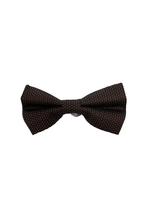 ROMASTER Kahverengi Renk Nokta Desenli Erkek Papyon