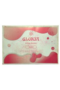 Gloria Kumaş Boyası Pembe 10 gr