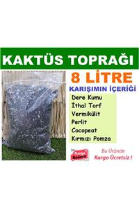 Ekodoğa Kaktüs Toprağı 8 Lt 6 Karışım Sukulent Toprağı Aloe Vera Lithops Toprağı Kaktüs Teraryum Toprağı