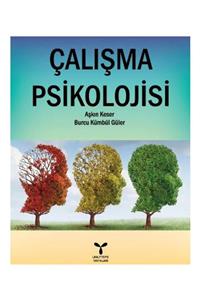 Umuttepe Yayınları Çalışma Psikolojisi