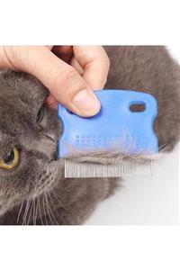 EvimShopping Kedi Köpek Pire Tarağı