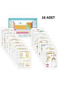 Gürbüz Fen Levhaları Seti 16'lı - Fen Bilimleri Harita Serisi 16 Çıtalı Levha