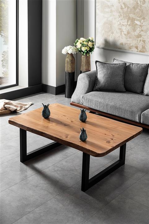 SAĞIROĞLU Ahşap Kütük Masa Orta Sehpa