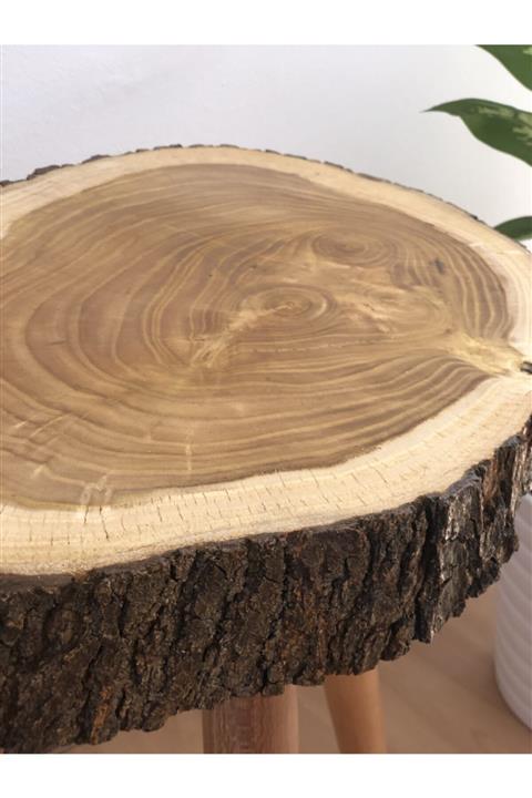 dopekido Tasarım Ak Meşe Ağacı Doğal Ahşap Kütük Zigon Sehpa