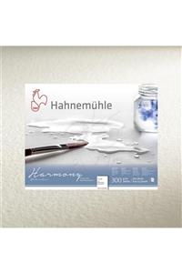 Hahnemühle Harmony Sulu Boya Kağıdı 300g 50x65cm 10lu Rough Grain