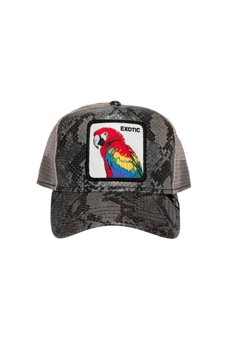 Goorin Bros Şapka Margaritaville