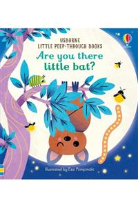 Usborne Are You There Little Bat