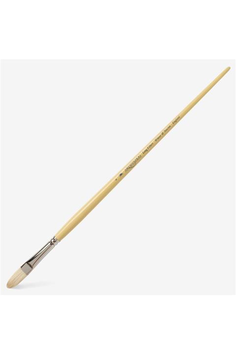 Winsor Newton Winsor & Newton : Artists' : Uzun Sap Kedi Dili Fırça No : 6