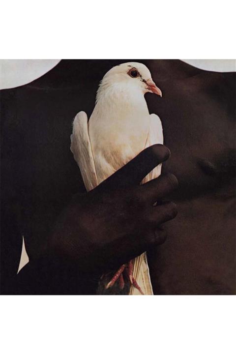 ALP PLAK Carlos Santana Greatest Hits - Plak